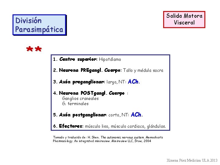 Salida Motora Visceral División Parasimpática ** 1. Centro superior: Hipotálamo 2. Neurona PREgangl. Cuerpo: