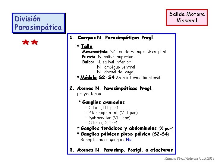 Salida Motora Visceral División Parasimpática ** 1. Cuerpos N. Parasimpáticas Pregl. * Tallo Mesencéfalo: