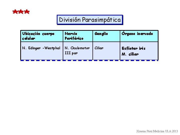 *** División Parasimpática Ubicación cuerpo celular Nervio Periférico Ganglio Órgano inervado N. Edinger -Westphal