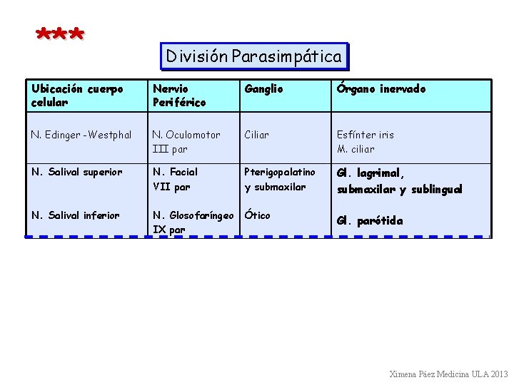 *** División Parasimpática Ubicación cuerpo celular Nervio Periférico Ganglio Órgano inervado N. Edinger -Westphal