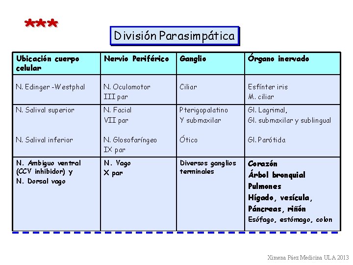 *** División Parasimpática Ubicación cuerpo celular Nervio Periférico Ganglio Órgano inervado N. Edinger -Westphal