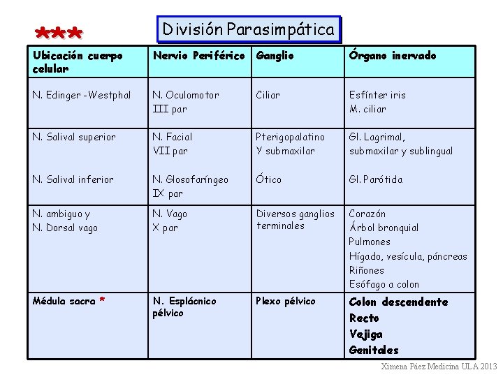 *** División Parasimpática Ubicación cuerpo celular Nervio Periférico Ganglio Órgano inervado N. Edinger -Westphal