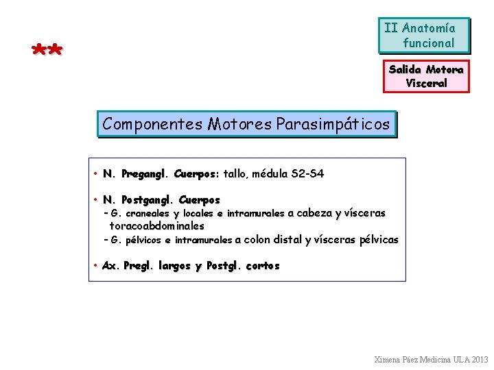 II Anatomía funcional ** Salida Motora Visceral Componentes Motores Parasimpáticos • N. Pregangl. Cuerpos: II Anatomía funcional ** Salida Motora Visceral Componentes Motores Parasimpáticos • N. Pregangl. Cuerpos: