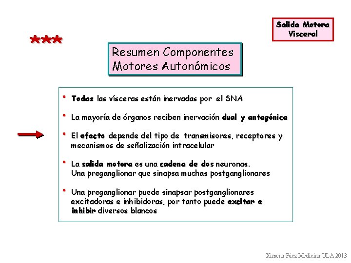 *** Salida Motora Visceral Resumen Componentes Motores Autonómicos • Todas las vísceras están inervadas