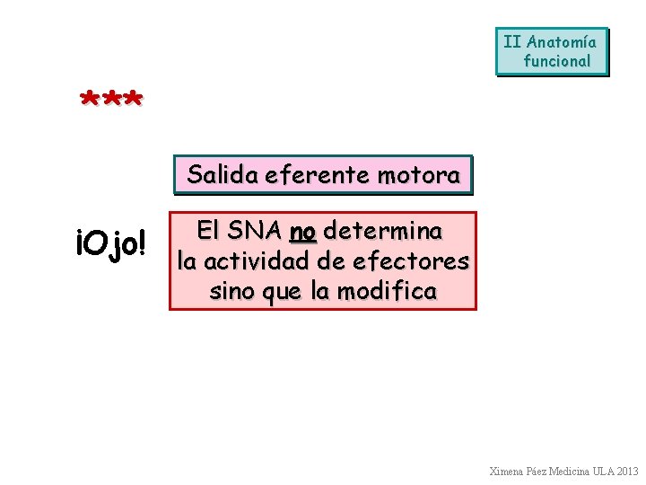 II Anatomía funcional * ** Salida eferente motora ¡Ojo! El SNA no determina la