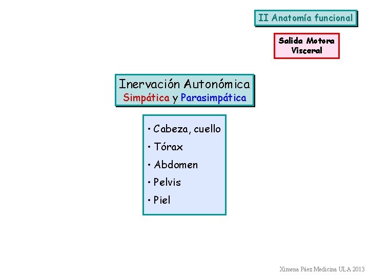 II Anatomía funcional Salida Motora Visceral Inervación Autonómica Simpática y Parasimpática • Cabeza, cuello II Anatomía funcional Salida Motora Visceral Inervación Autonómica Simpática y Parasimpática • Cabeza, cuello