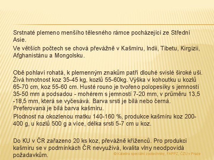 Srstnaté plemeno menšího tělesného rámce pocházející ze Střední Asie. Ve větších počtech se chová