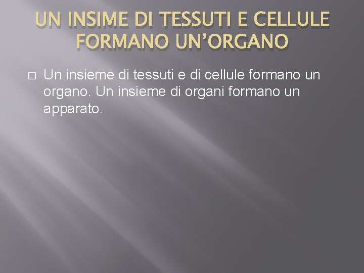 UN INSIME DI TESSUTI E CELLULE FORMANO UN’ORGANO � Un insieme di tessuti e