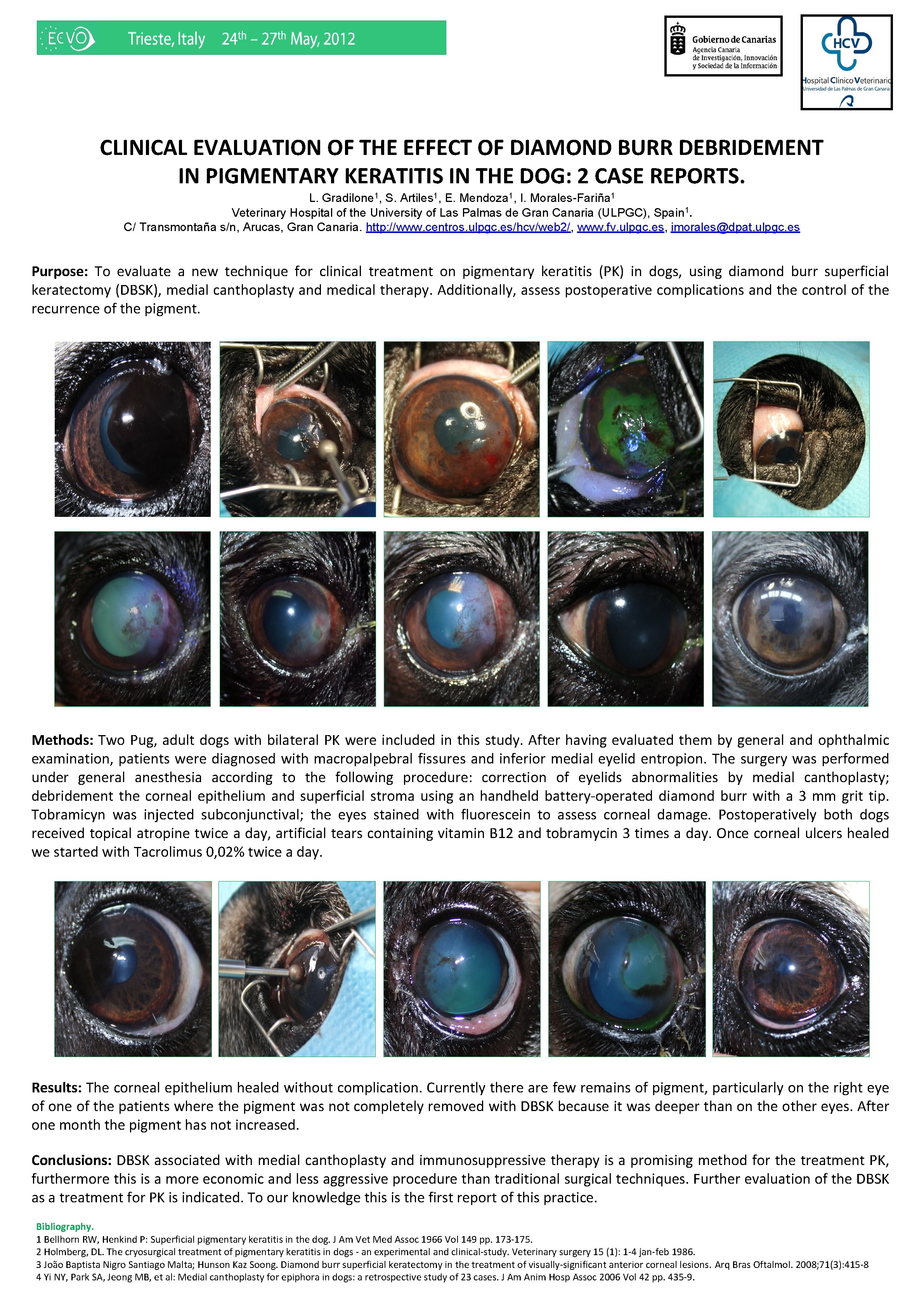 CLINICAL EVALUATION OF THE EFFECT OF DIAMOND BURR DEBRIDEMENT IN PIGMENTARY KERATITIS IN THE