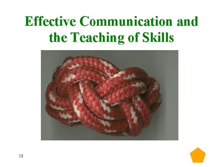 Effective Communication and the Teaching of Skills 18 Effective Communication and the Teaching of Skills 18