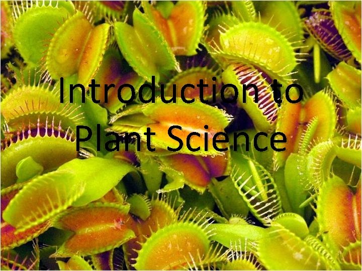 Introduction to Plant Science 