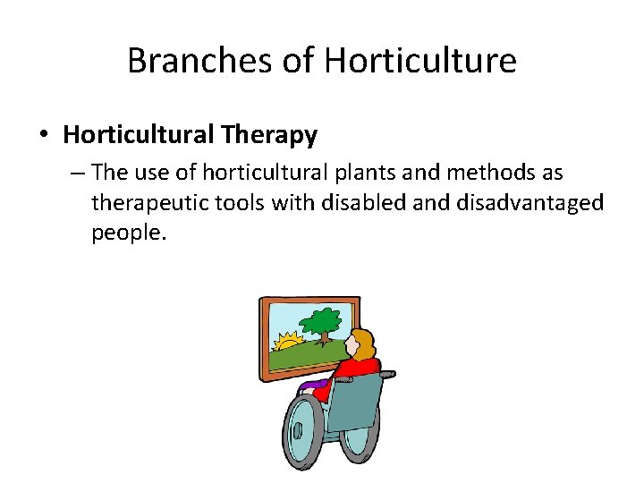 Branches of Horticulture • Horticultural Therapy – The use of horticultural plants and methods