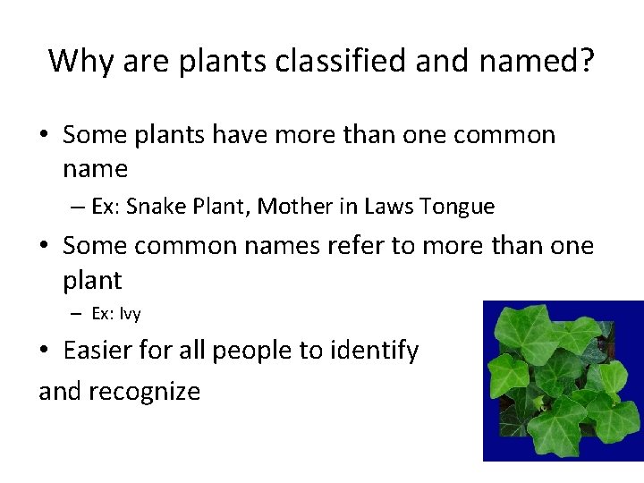 Why are plants classified and named? • Some plants have more than one common