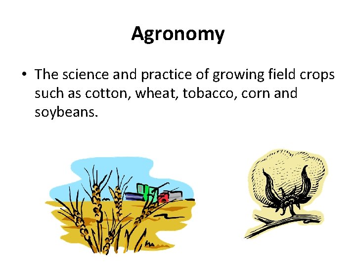 Agronomy • The science and practice of growing field crops such as cotton, wheat,