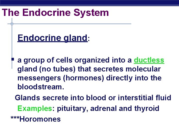 The Endocrine System Endocrine gland: § a group of cells organized into a ductless