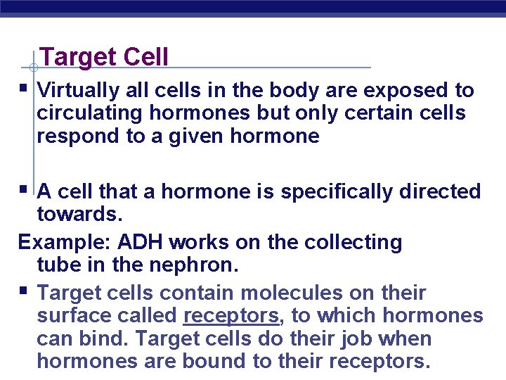 Target Cell § Virtually all cells in the body are exposed to circulating hormones