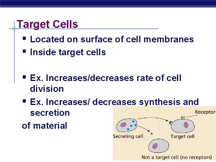 Target Cells § Located on surface of cell membranes § Inside target cells §