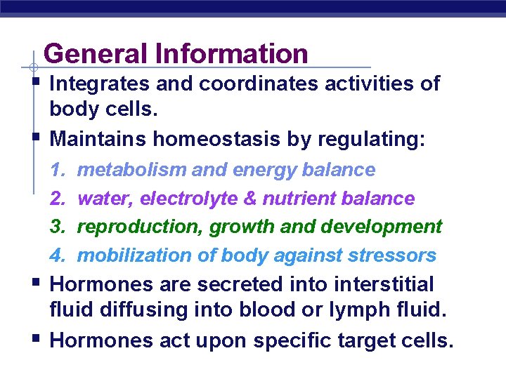 General Information § Integrates and coordinates activities of § body cells. Maintains homeostasis by