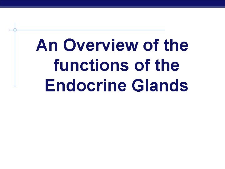 An Overview of the functions of the Endocrine Glands 