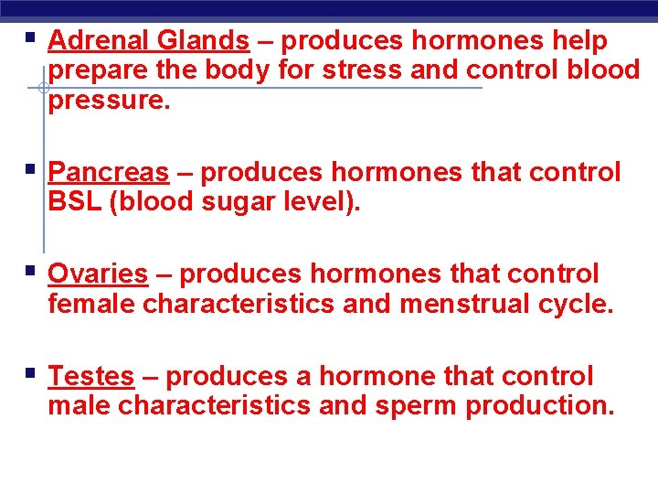 § Adrenal Glands – produces hormones help prepare the body for stress and control