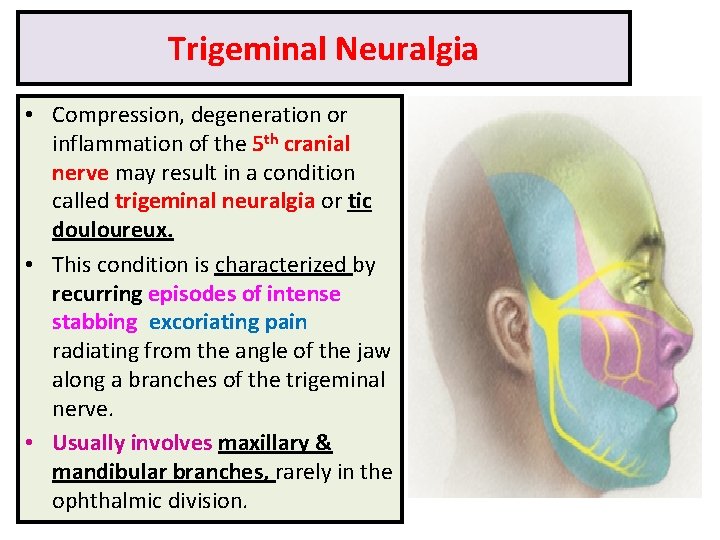 Trigeminal Neuralgia • Compression, degeneration or inflammation of the 5 th cranial nerve may