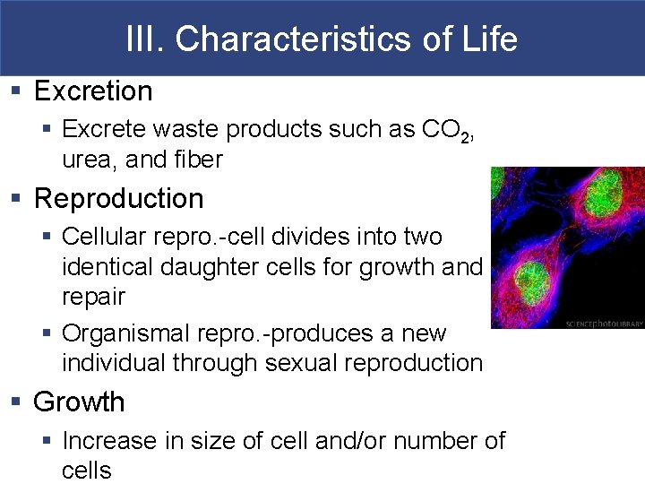 III. Characteristics of Life § Excretion § Excrete waste products such as CO 2,