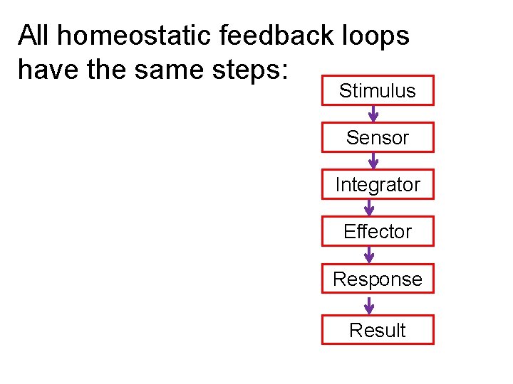 All homeostatic feedback loops have the same steps: Stimulus Sensor Integrator Effector Response Result
