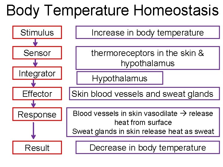 Body Temperature Homeostasis Stimulus Increase in body temperature Sensor thermoreceptors in the skin &