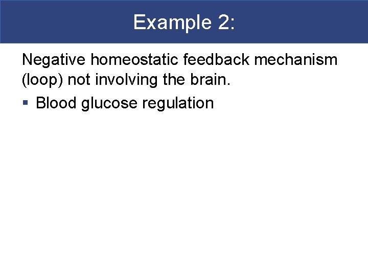 Example 2: Negative homeostatic feedback mechanism (loop) not involving the brain. § Blood glucose