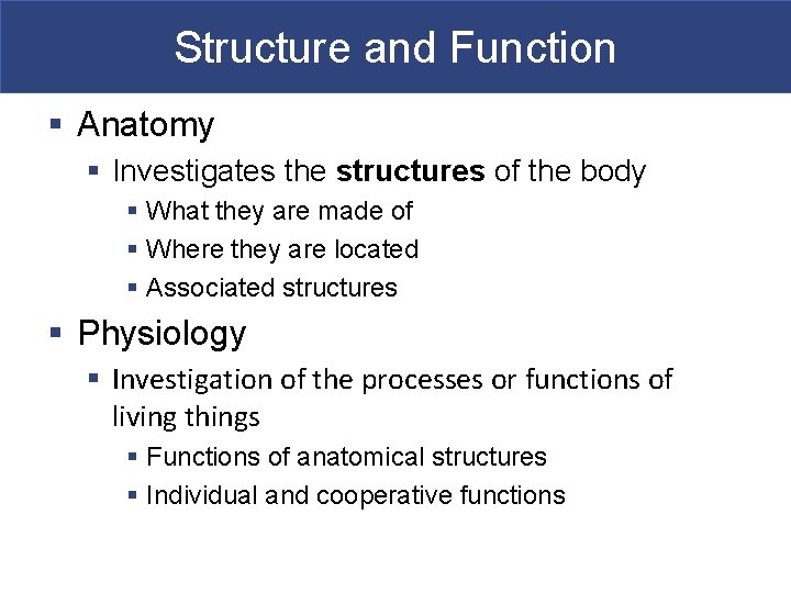 Structure and Function § Anatomy § Investigates the structures of the body § What