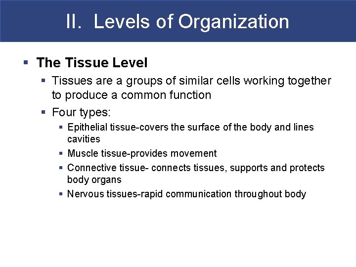 II. Levels of Organization § The Tissue Level § Tissues are a groups of