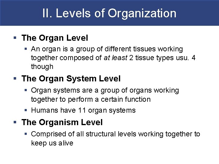 II. Levels of Organization § The Organ Level § An organ is a group