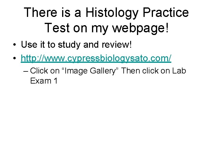 There is a Histology Practice Test on my webpage! • Use it to study