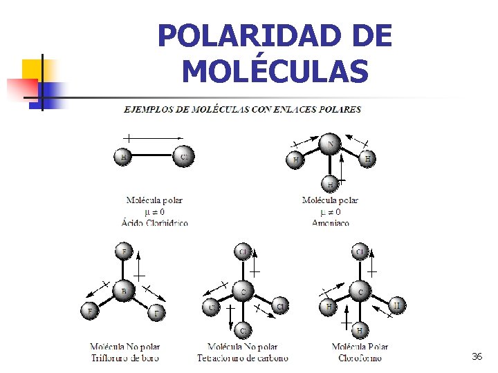 POLARIDAD DE MOLÉCULAS 36 