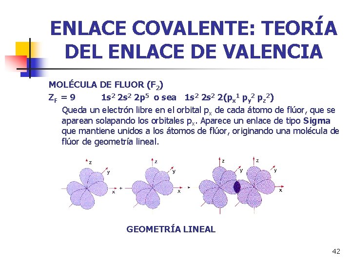 ENLACE COVALENTE: TEORÍA DEL ENLACE DE VALENCIA MOLÉCULA DE FLUOR (F 2) ZF =