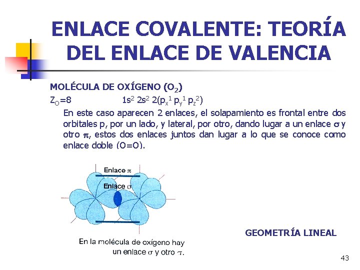 ENLACE COVALENTE: TEORÍA DEL ENLACE DE VALENCIA MOLÉCULA DE OXÍGENO (O 2) ZO=8 1