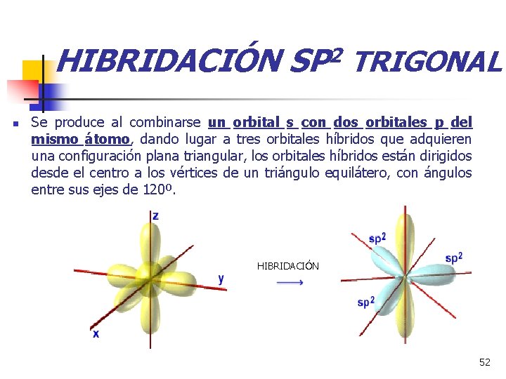 HIBRIDACIÓN SP 2 TRIGONAL n Se produce al combinarse un orbital s con dos