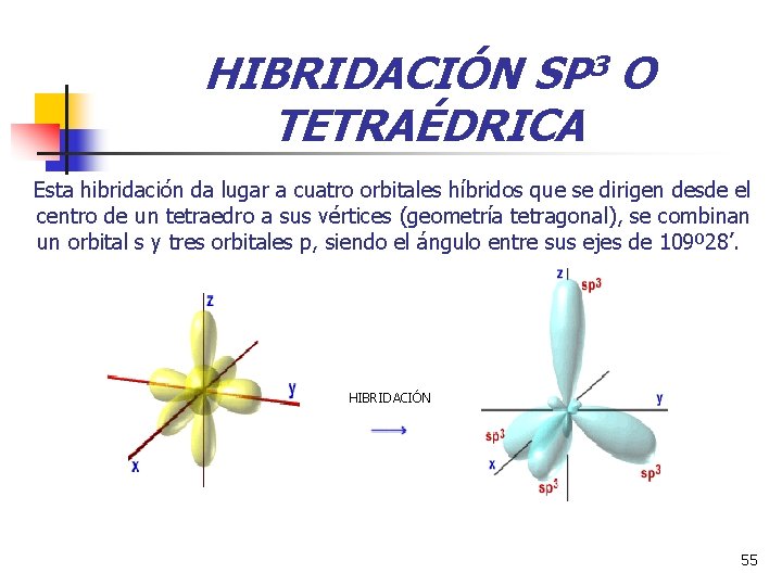 HIBRIDACIÓN SP 3 O TETRAÉDRICA Esta hibridación da lugar a cuatro orbitales híbridos que