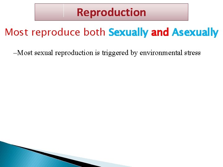 Reproduction Most reproduce both Sexually and Asexually –Most sexual reproduction is triggered by environmental