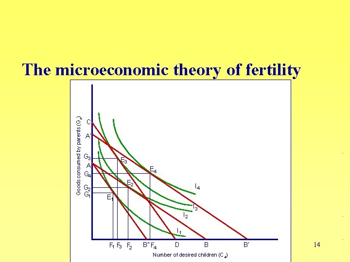 Goods consumed by parents (Gp) The microeconomic theory of fertility C A' G 3