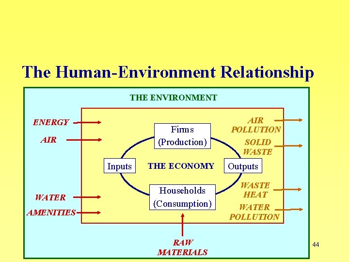 The Human-Environment Relationship THE ENVIRONMENT ENERGY Firms (Production) AIR Inputs WATER AMENITIES THE ECONOMY