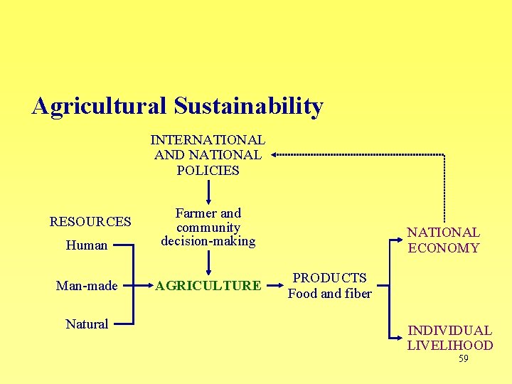 Agricultural Sustainability INTERNATIONAL AND NATIONAL POLICIES Human Farmer and community decision-making Man-made AGRICULTURE RESOURCES