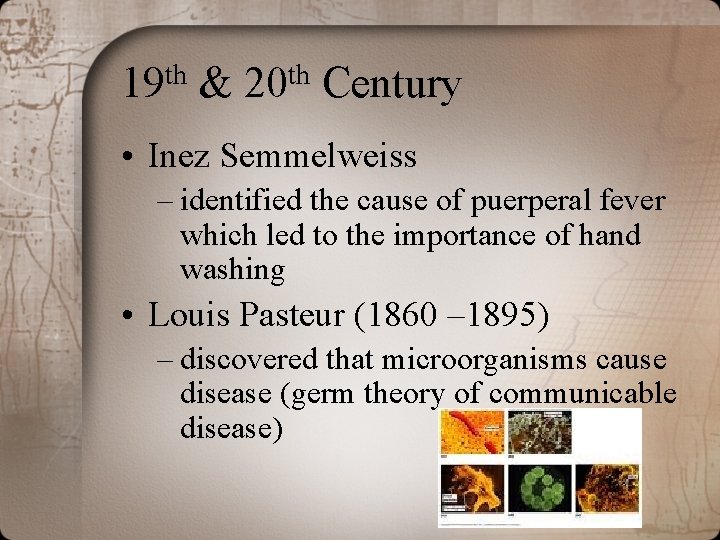 th 19 & th 20 Century • Inez Semmelweiss – identified the cause of
