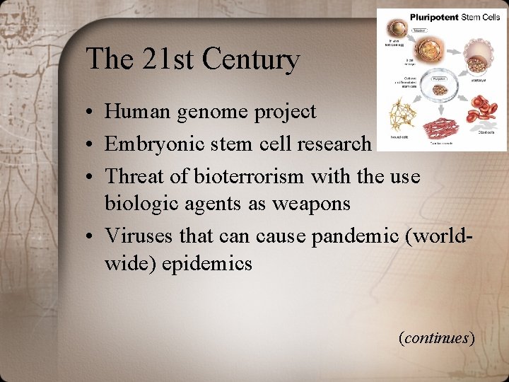 The 21 st Century • Human genome project • Embryonic stem cell research •