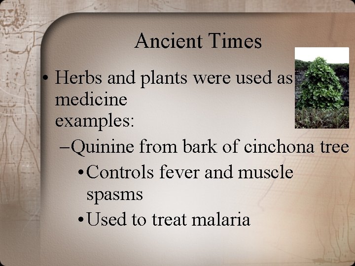 Ancient Times • Herbs and plants were used as medicine examples: – Quinine from