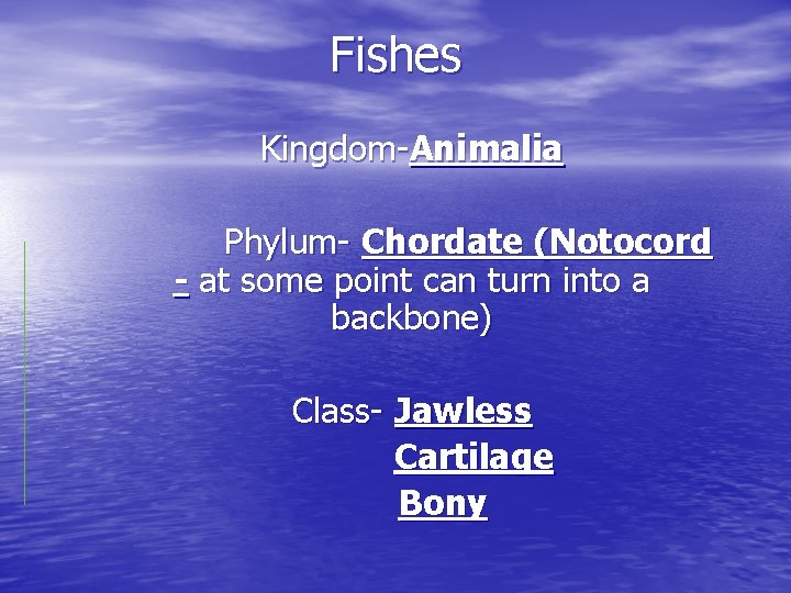 Fishes Kingdom-Animalia Phylum- Chordate (Notocord - at some point can turn into a backbone)