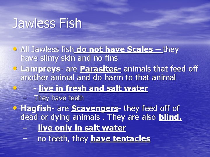 Jawless Fish • All Jawless fish do not have Scales – they • •