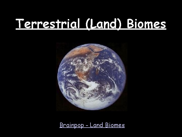 Terrestrial (Land) Biomes Brainpop - Land Biomes 