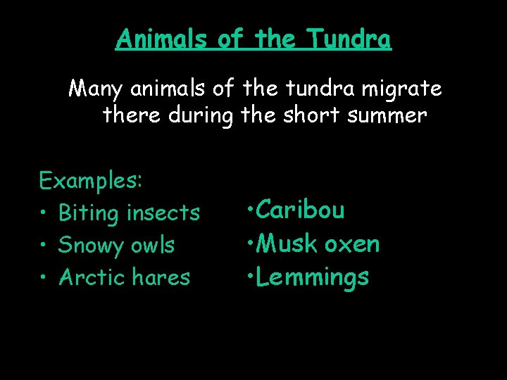 Animals of the Tundra Many animals of the tundra migrate there during the short