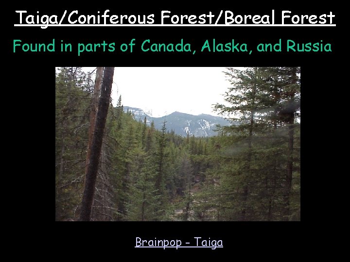 Taiga/Coniferous Forest/Boreal Forest Found in parts of Canada, Alaska, and Russia Brainpop - Taiga